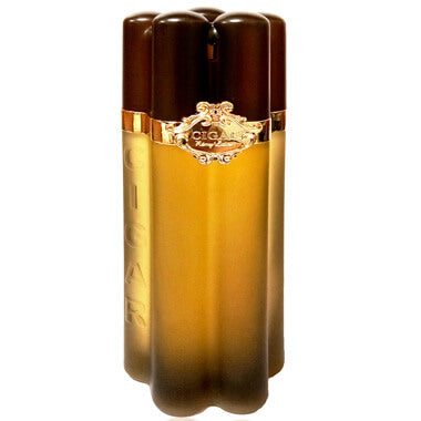 Lomani Cigar EDT Perfume for Men 100ml
