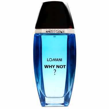 Lomani Why Not Perfume for Men 100ml